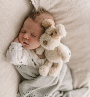 Newborn baby sleeping with a soft plush  toy in the shape of a dog on a neutral background.