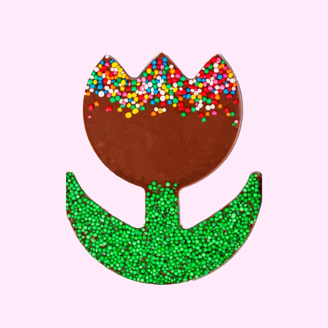 Chocolate freckle tulip on a light pink background.