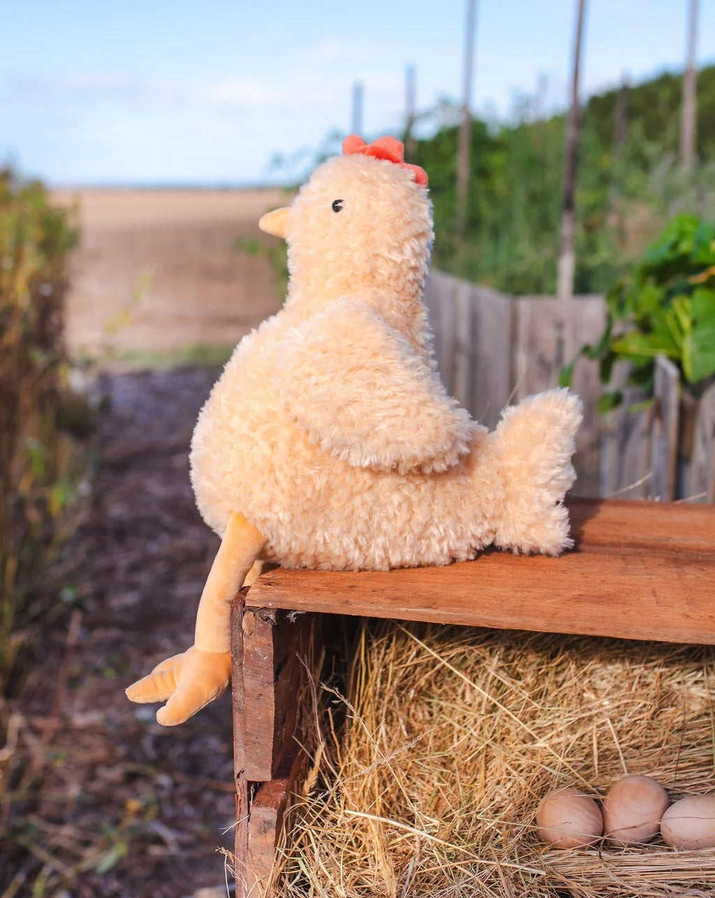 Plush toy chicken on a white background