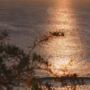 Freycinet Room Mist in Coastal Moss & Sea Salt