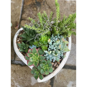 succulent garden with a variety of succulents in a ceramic heart shaped planter.