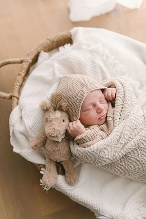Newborn baby wrapped in a knitted blanket lying in a basked, with a plush, soft toy rattle in the shape of a horse.