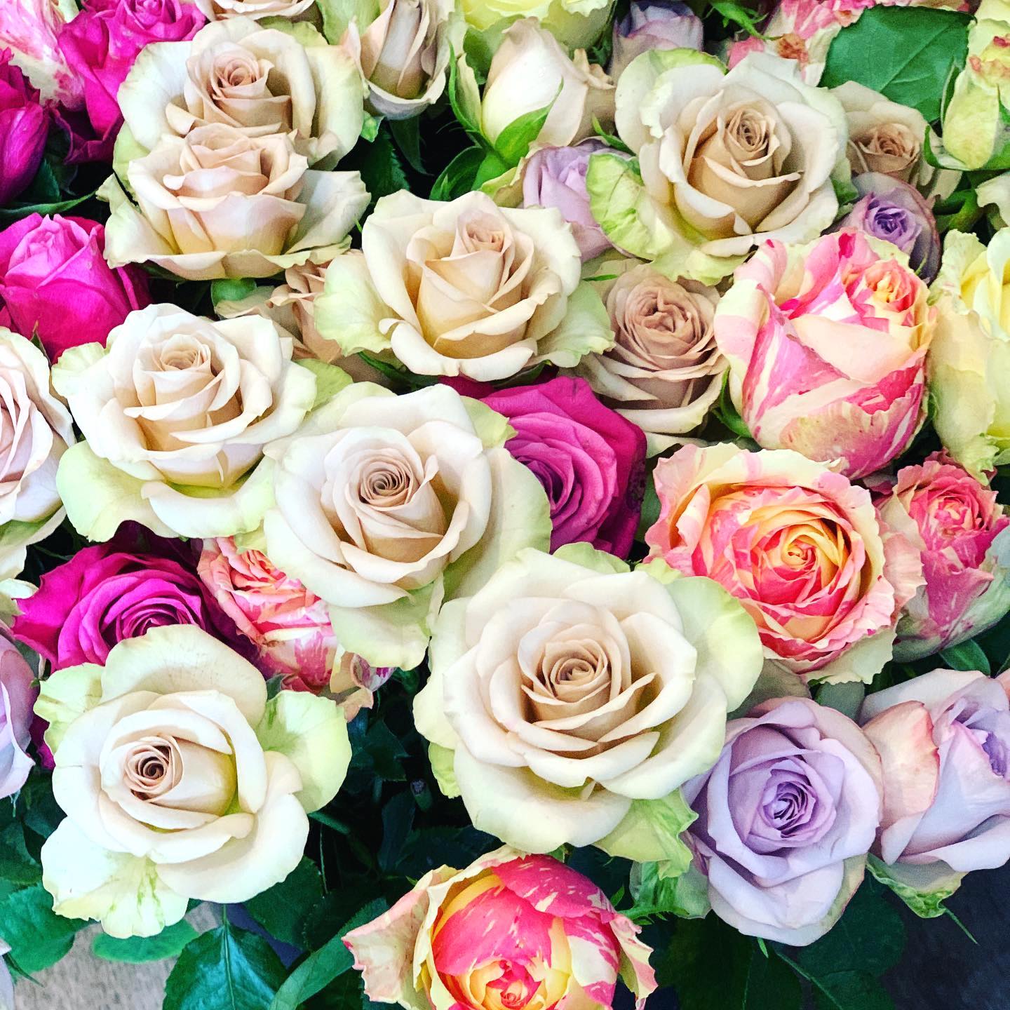 Rose bouquets equal love, romance and passion. Select a bouquet of these stunning blooms from a choice of 6 stems,10 stems or 12 stems. Available in red, white, pink or florist's choice. 