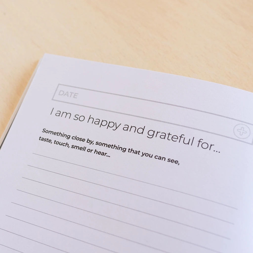 This journal will help you create a daily practice of gratitude and positivity by appreciating what you have now and focusing on what you want to come. 