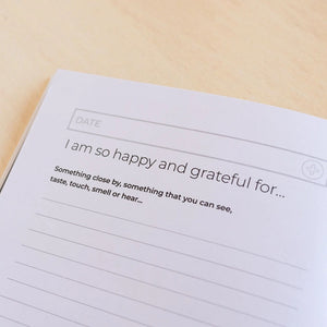 This journal allows you easy access to the powerful positive tool of gratitude to help you move your mood and keep your vibe high. 